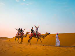 Buggy desert
